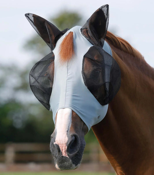 Horse wearing a Premier Equine fly mask with a blurred background