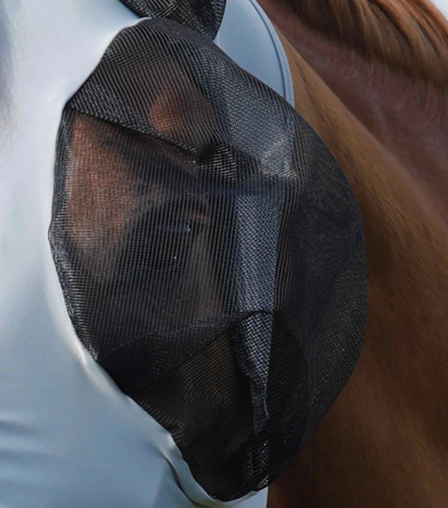 Grey fly mask on a horse's head zoomed in to black mesh eye section