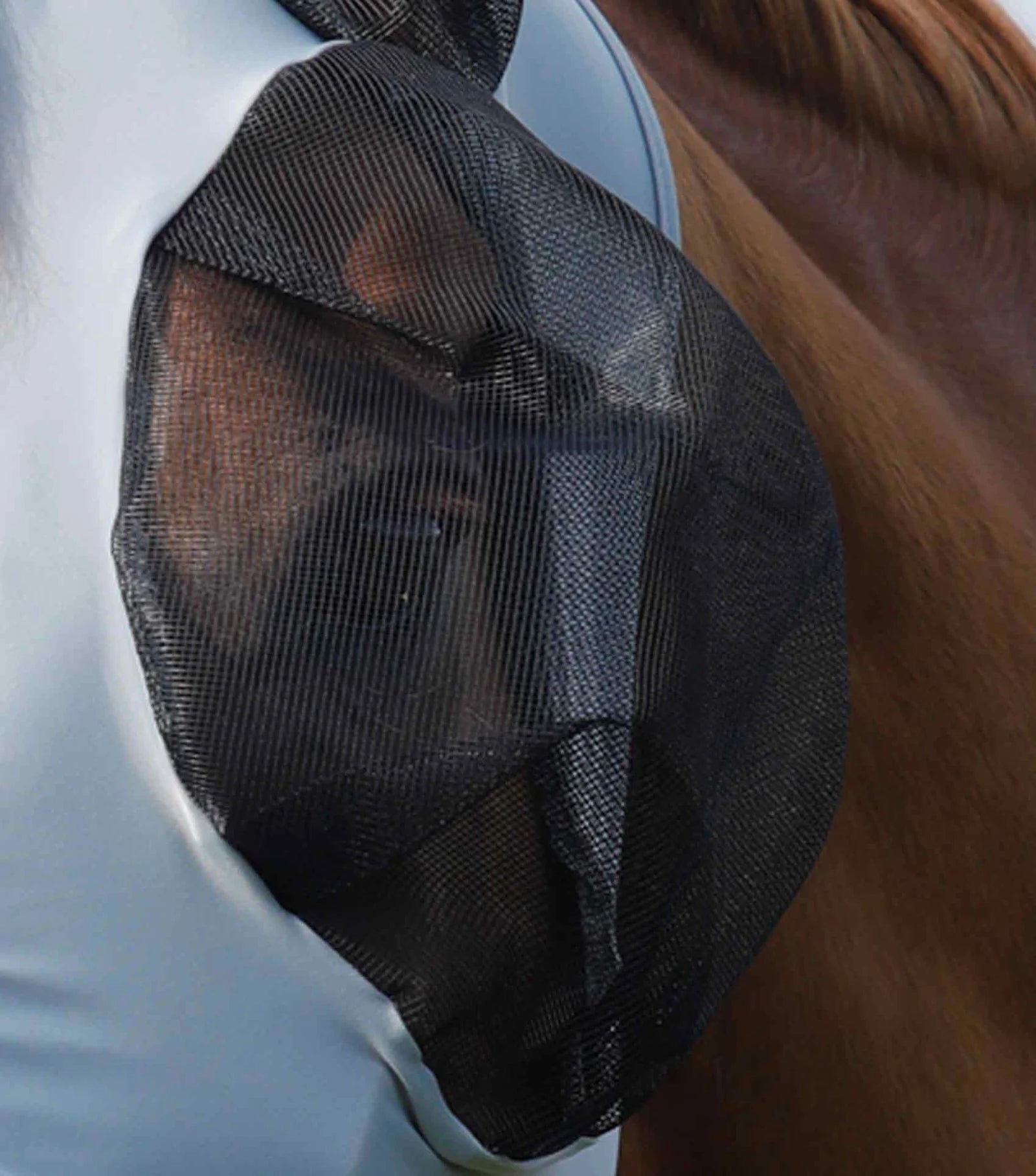 Grey fly mask on a horse's head zoomed in to black mesh eye section