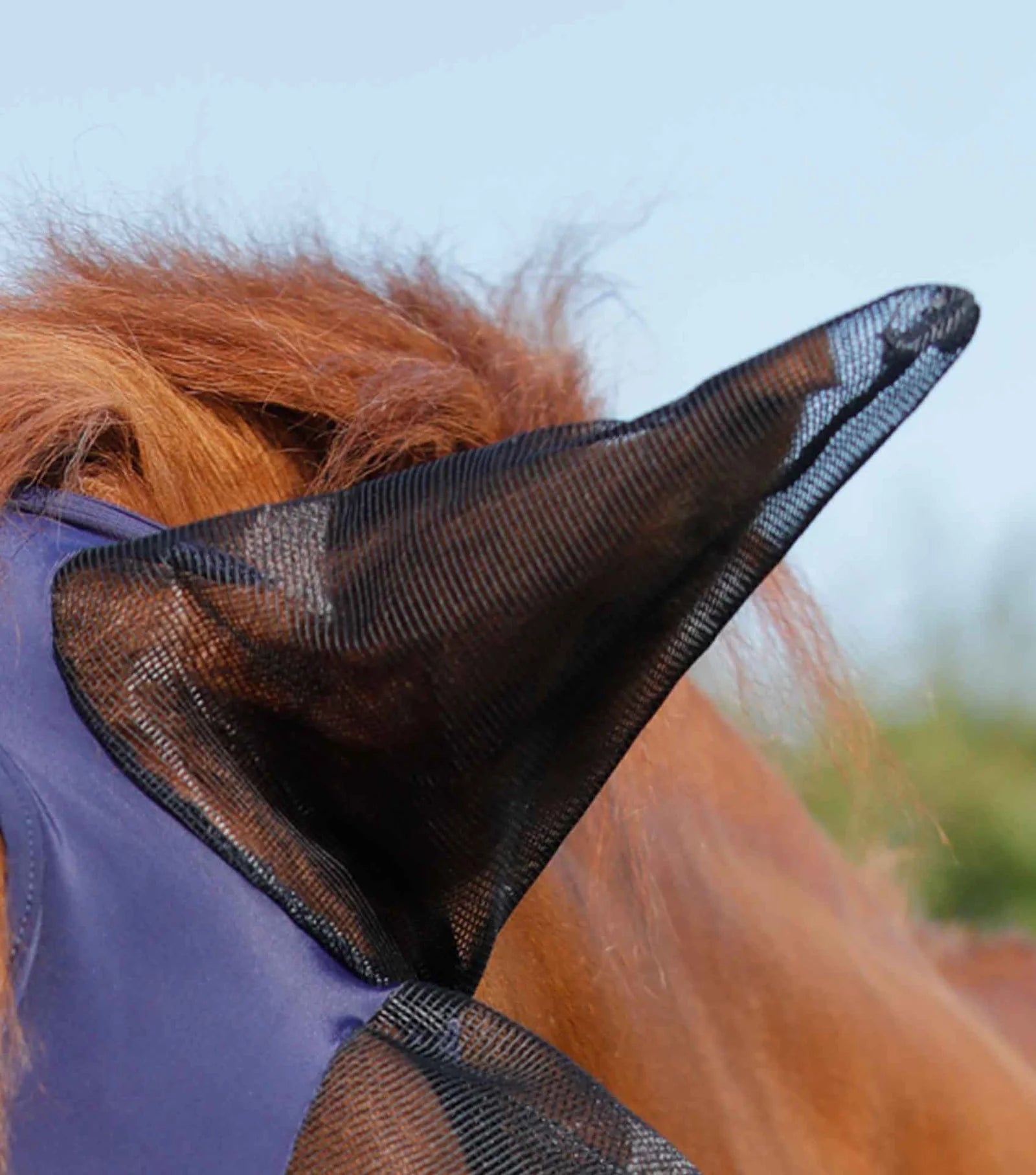 Horse fly mask with mesh ears and eyes