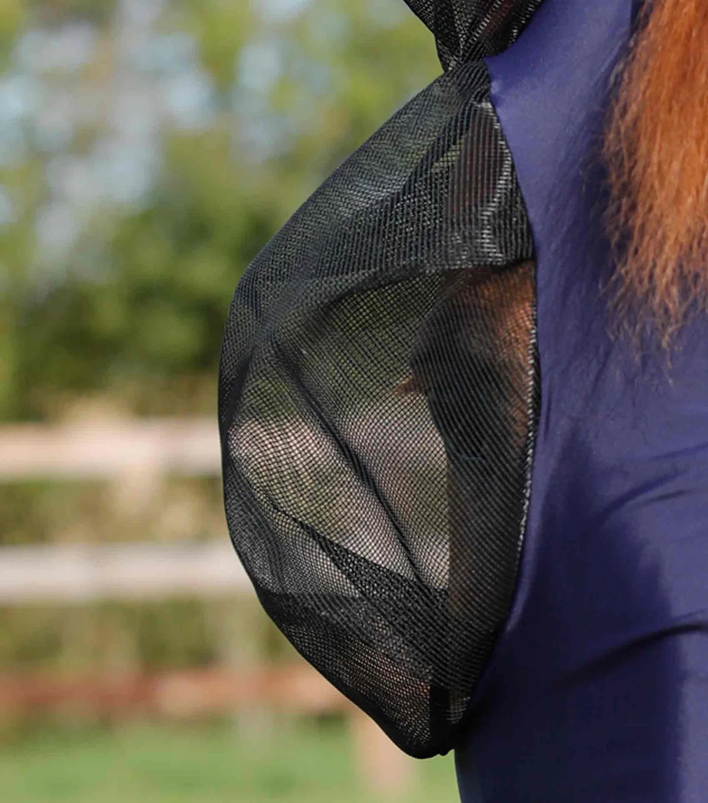 Horse fly mask with mesh ears and eyes