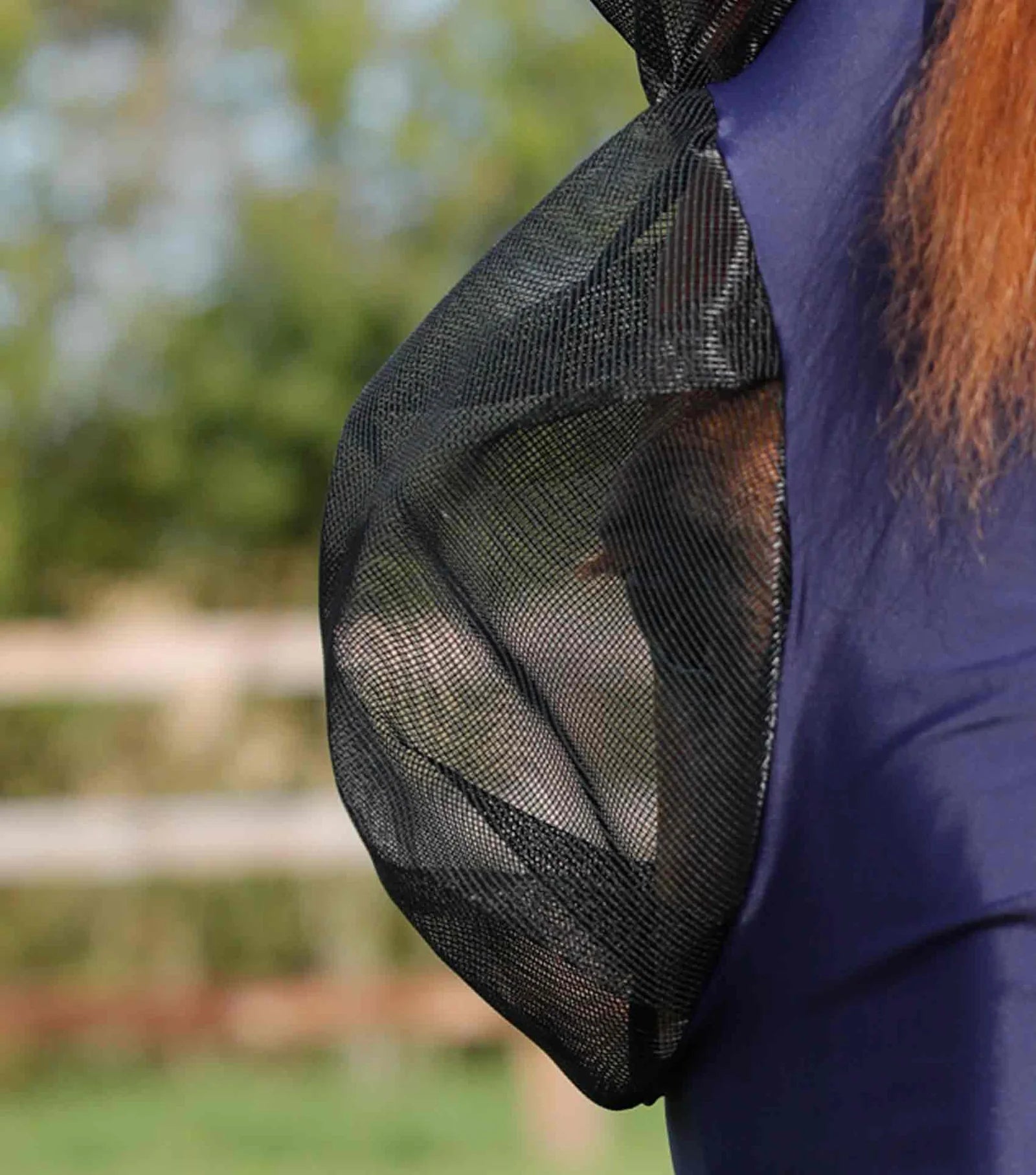 Horse fly mask with mesh ears and eyes