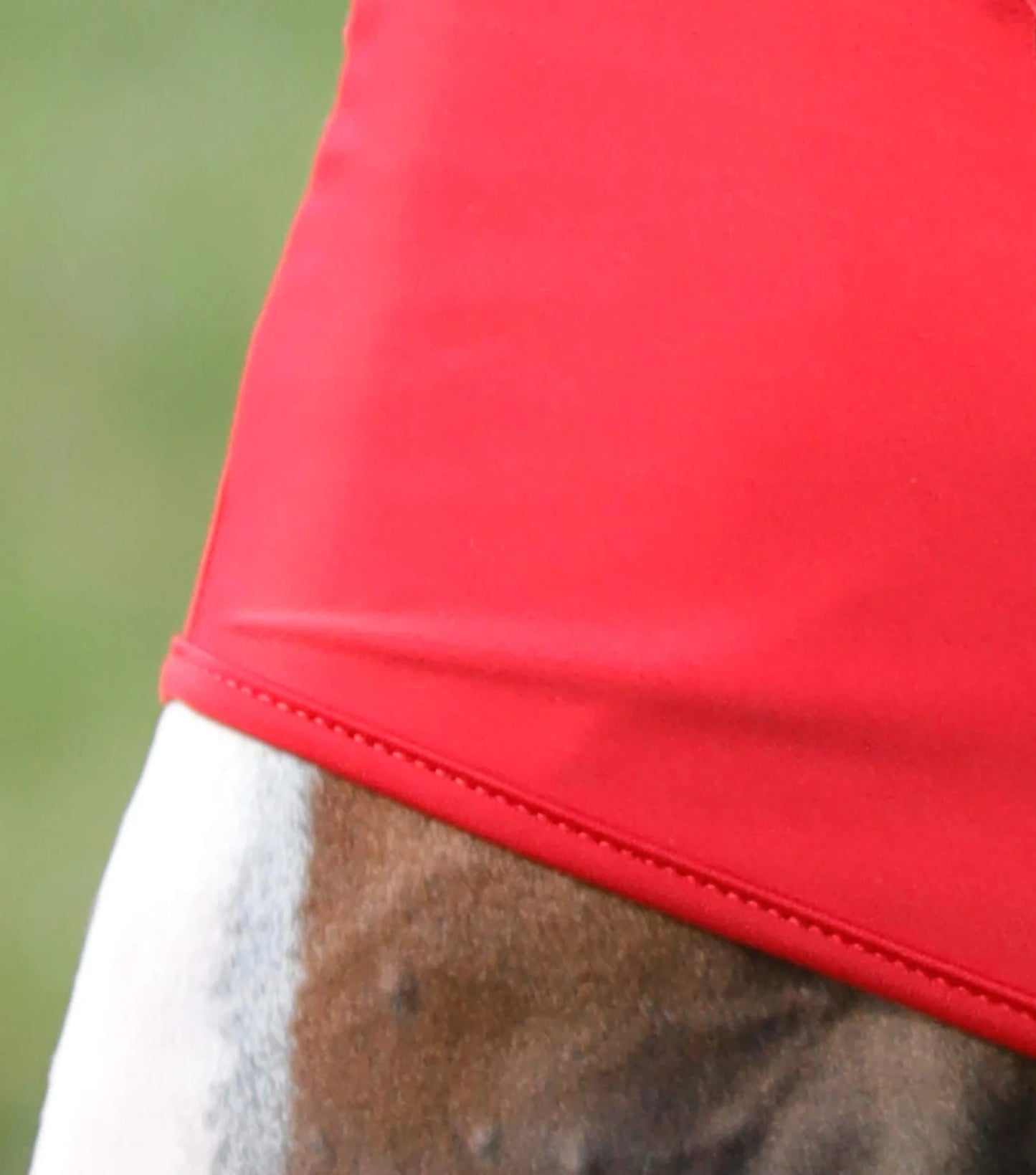 Nose section of Premier Equine Comfort Tech Lycra Fly Mask Red