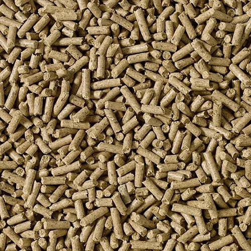 Close up of Saracen Cubes