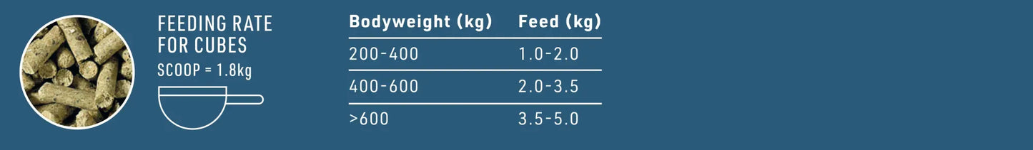 Feeding guide for cooling cubes