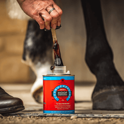 Carr & Day & Martin Daily Hoof Dressing 500ml with brush