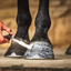 Horse hoof moisturiser applied with brush for hydration