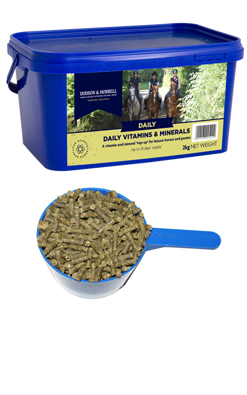 Dodson & Horrell Daily Vitamins & Minerals supplement tub for horses