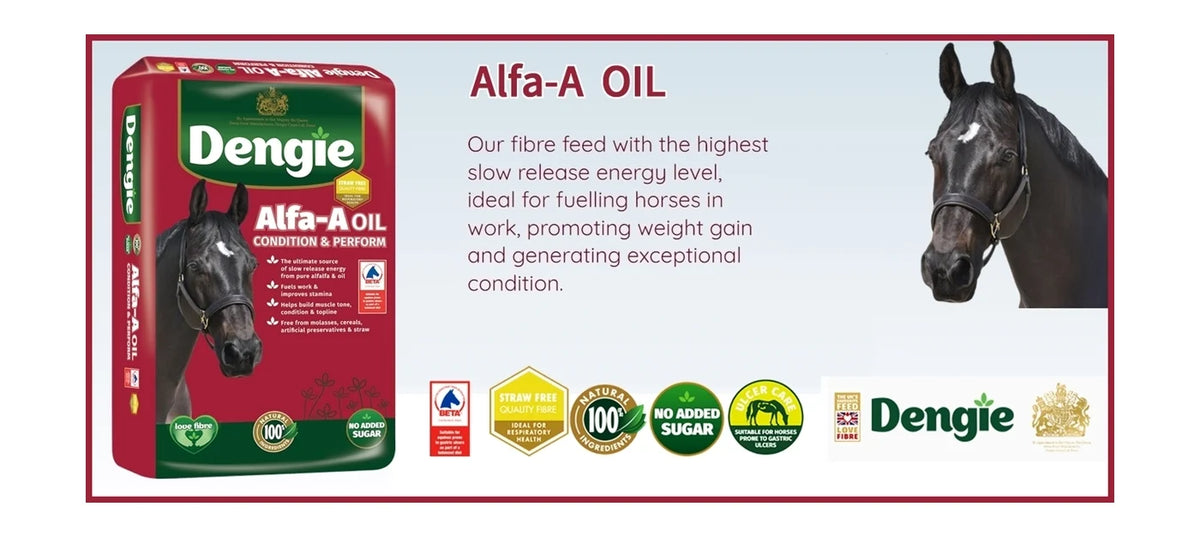 Dengie Alfa-A Oil horse feed packaging shown on a white background with product information text and a black horse photo. The bag is red and green with the Dengie brand name prominent.