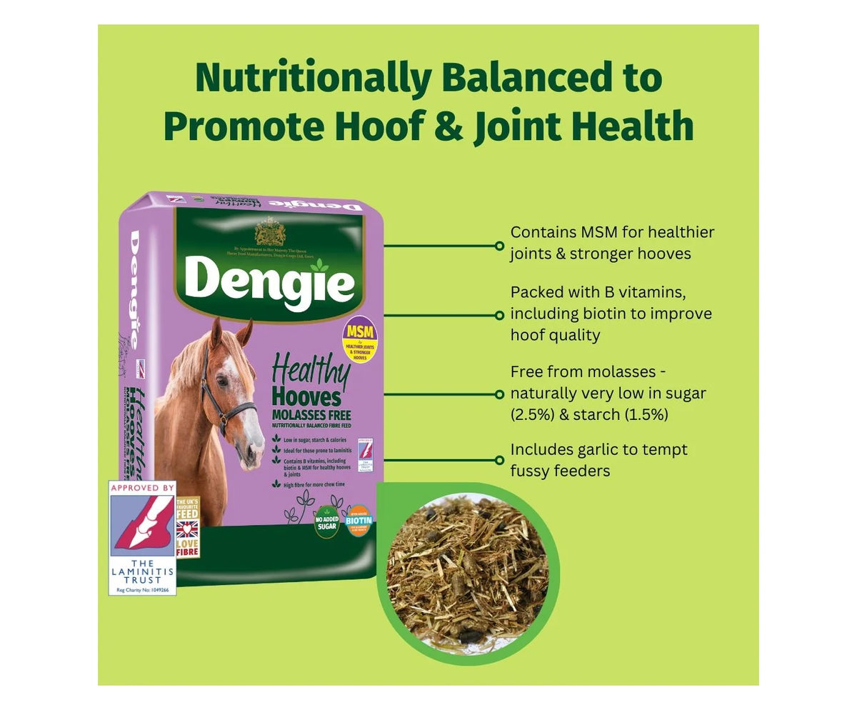 Healthy Hooves Graffic