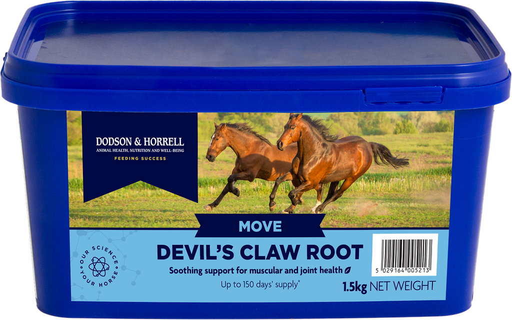 A blue plastic tub of Dodson & Horrell Move Devil's Claw Root for horses, featuring a label with two running brown horses on a green field.