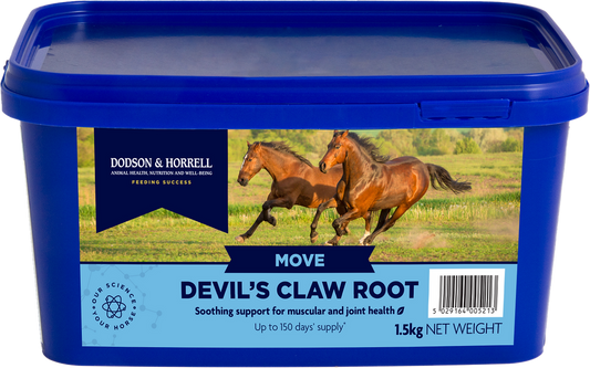 A blue plastic tub of Dodson & Horrell Move Devil's Claw Root for horses, featuring a label with two running brown horses on a green field.