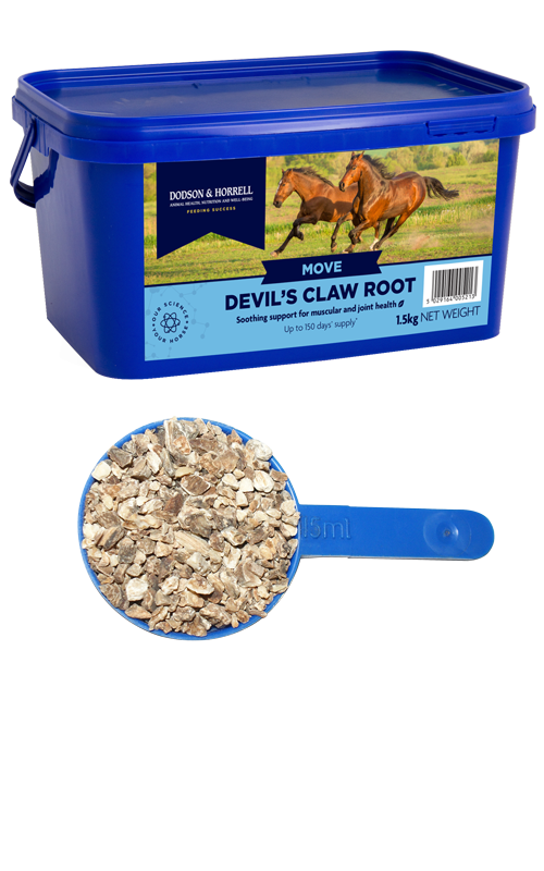 Dodson & Horrell Devil’s Claw Root 1.5 kg tub for equine joint support