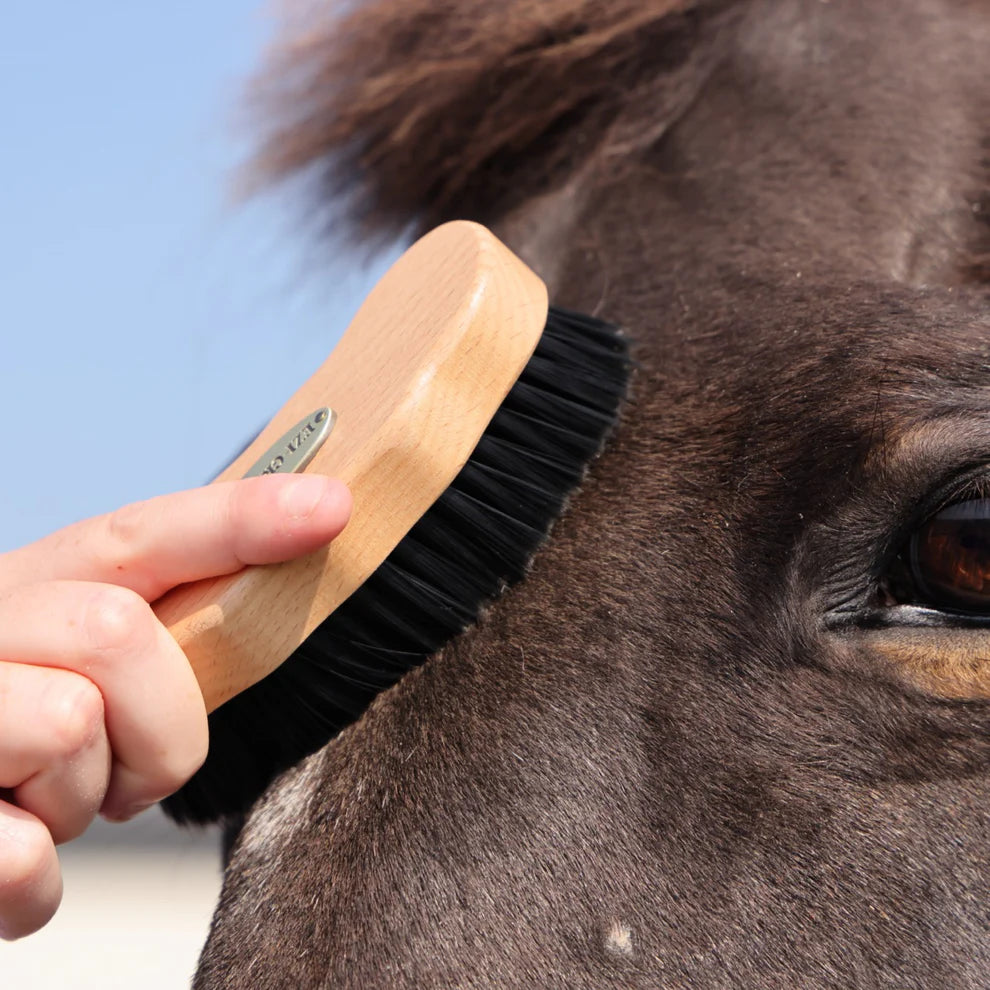 Person grooming a horse with a brush against a clear blue sky