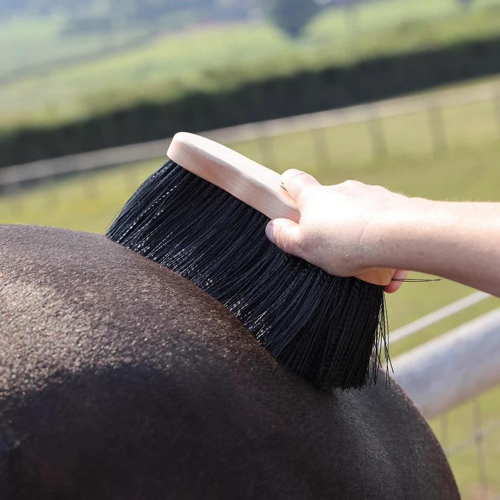 Person grooming a horse with a brush in an outdoor setting