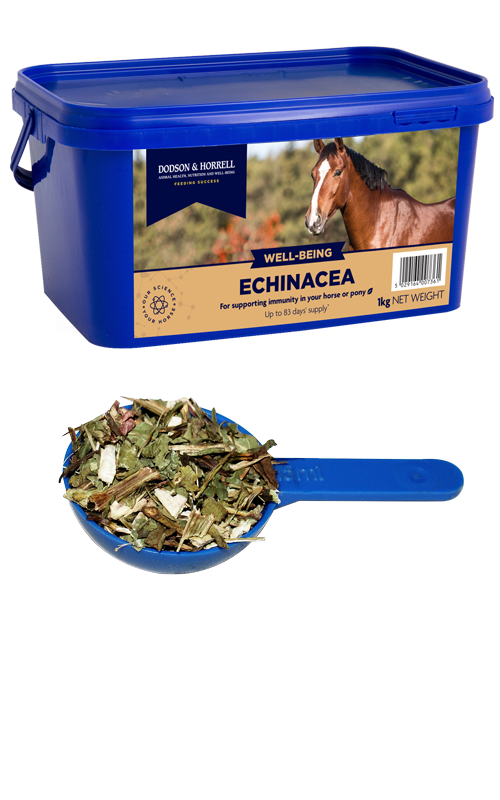 Dodson & Horrell Echinacea 1 kg tub for horses