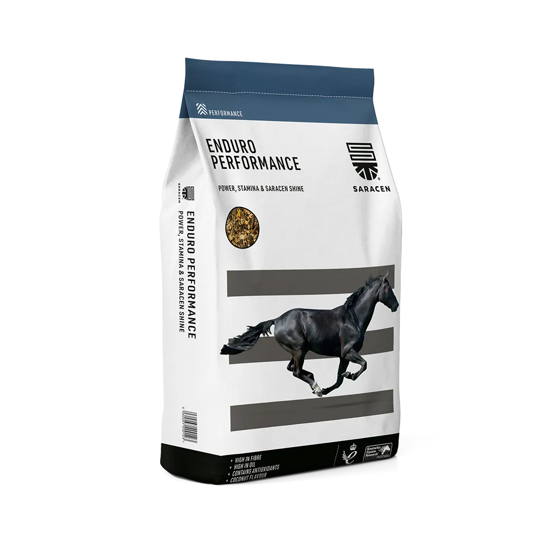 Saracen Enduro Performance horse feed bag on a white background