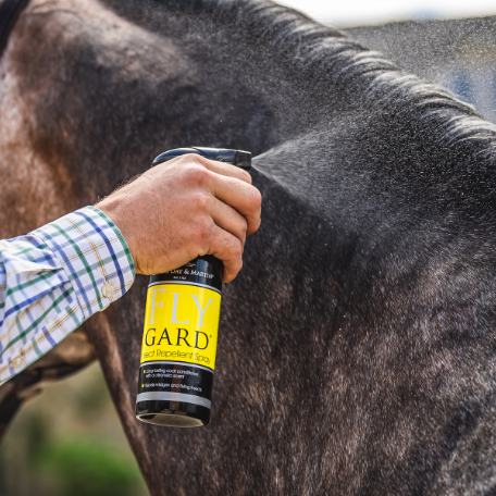 Flygard being applied to horse
