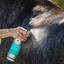 Horse with applied FlyGard repellent