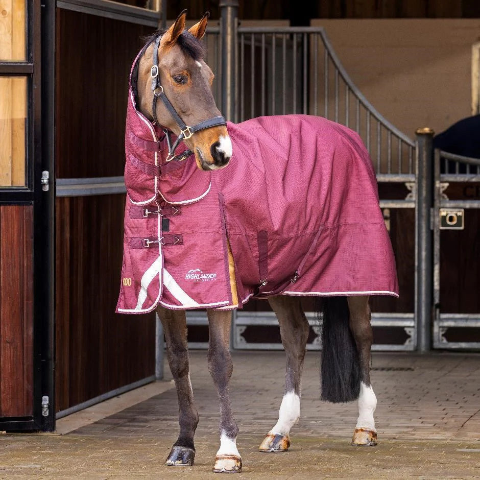 Shires Highlander Plus 100 Combo Turnout Rug full view on horse in stable