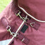 Shires Highlander Plus 100 combo turnout rug chest fastening and buckle detail