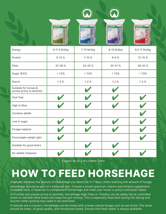 How To Feed Horsehage