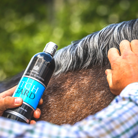 itchgard being applied to horses mane