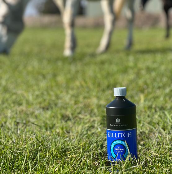 Kilitch bottle on grass with horses in the background