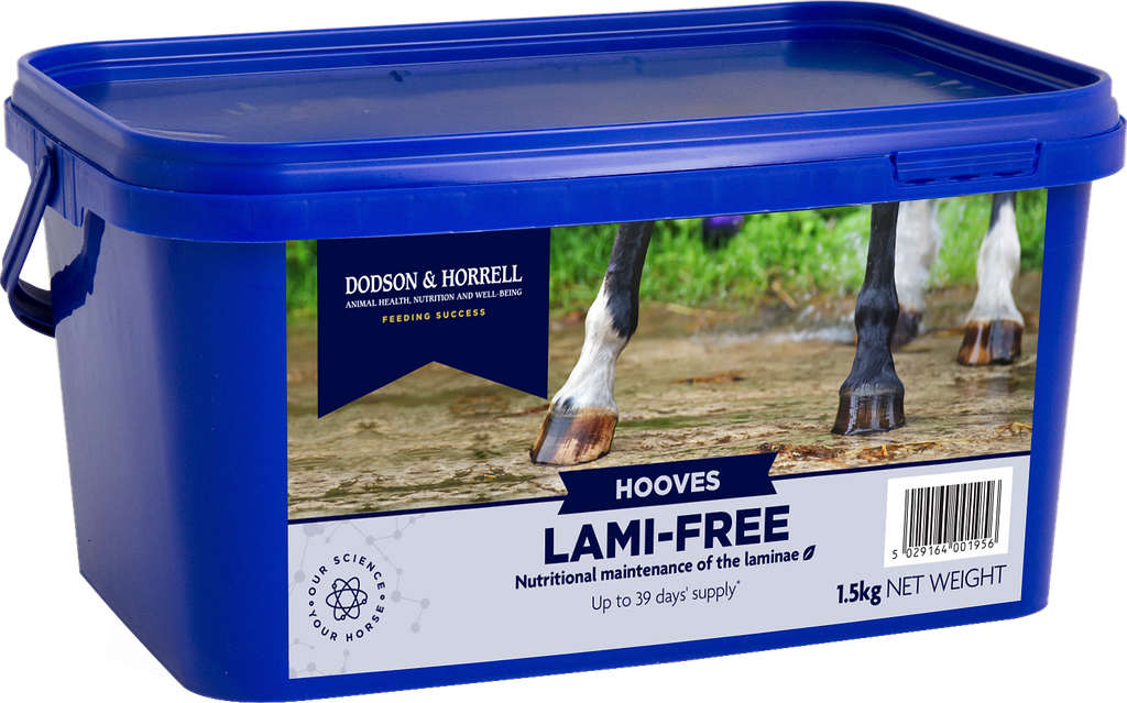 A 1.5kg blue plastic tub of Dodson & Horrell Hooves Lami-Free nutritional maintenance supplement for horses, featuring a label with horse hooves standing in water.