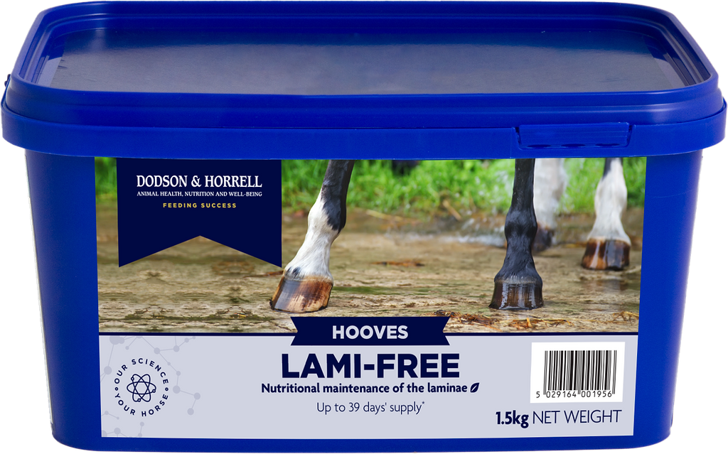 A blue plastic tub of Dodson & Horrell Hooves Lami-Free animal nutrition feed, featuring a label with a photo of horse hooves and product details.