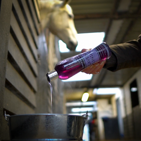Person pouring a pink liquid from a bottle into a metal container with a horse in the background.
