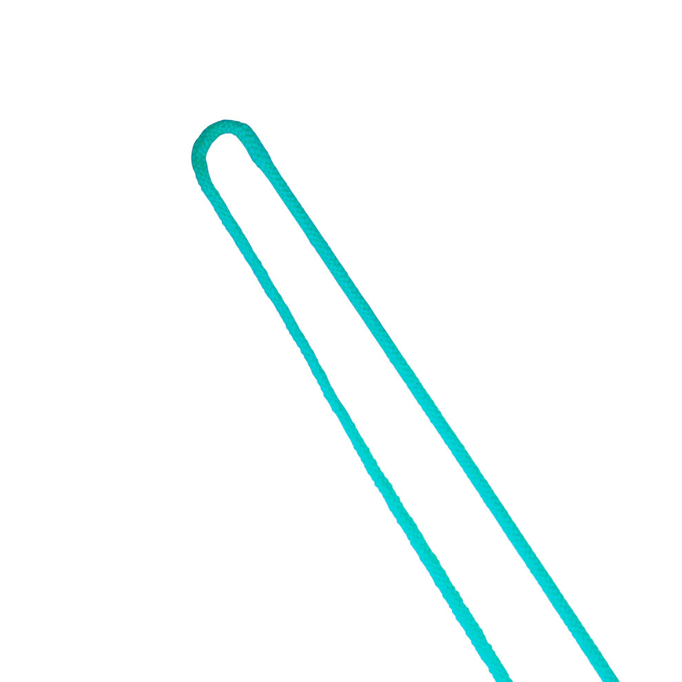 Shires Lunging Whip — 63″ (160 cm)