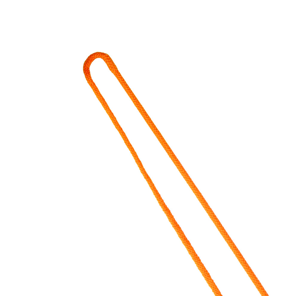 Shires Lunging Whip — 63″ (160 cm)