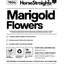 Marigold Flowers
