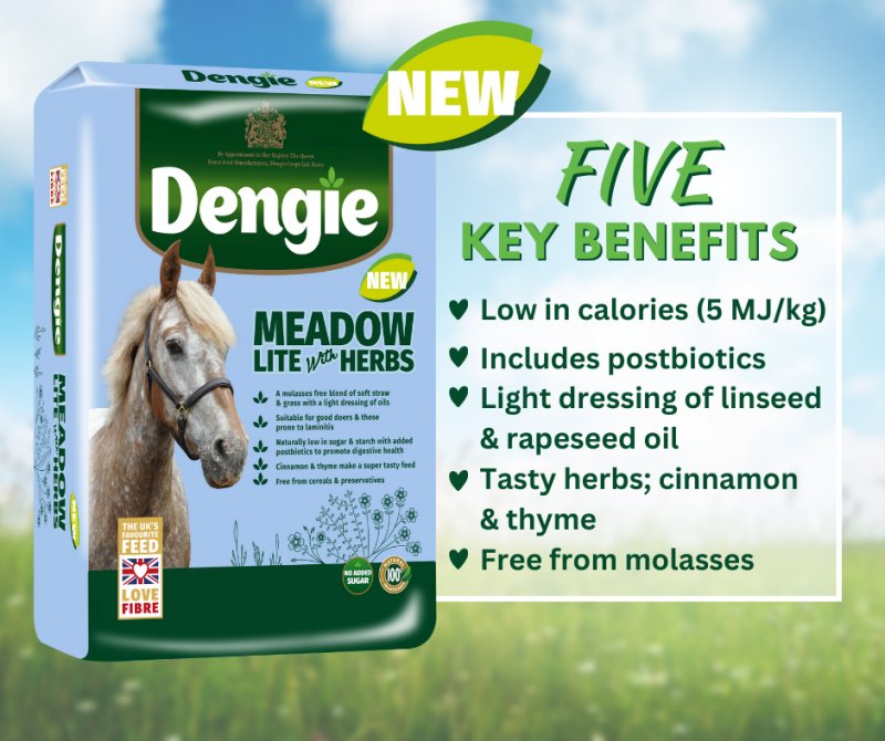 A package of Dengie Meadow Lite with Herbs horse feed is shown alongside a promotional graphic detailing five key benefits, set against a blurred green field and blue sky background.