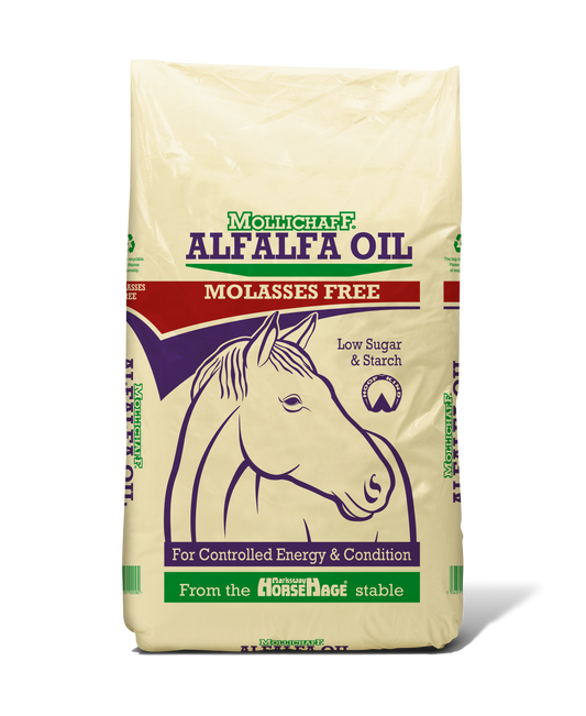 Mollichaff Alfalfa Oil