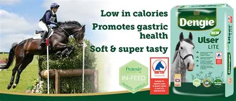 Dengie Ulser Lite horse feed packaging shown next to a lifestyle scene of a horse and rider jumping in an equestrian field. The packaging is light green and white with the Dengie brand name prominent.