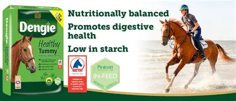 Dengie Healthy Tummy 20Kg
