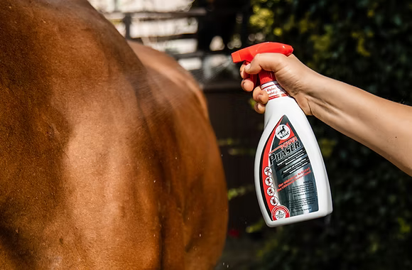 Horse coat with applied LeoVet Power Phaser repellent