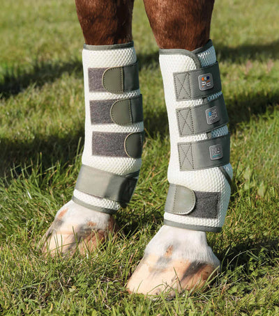 Horse legs with protective boots