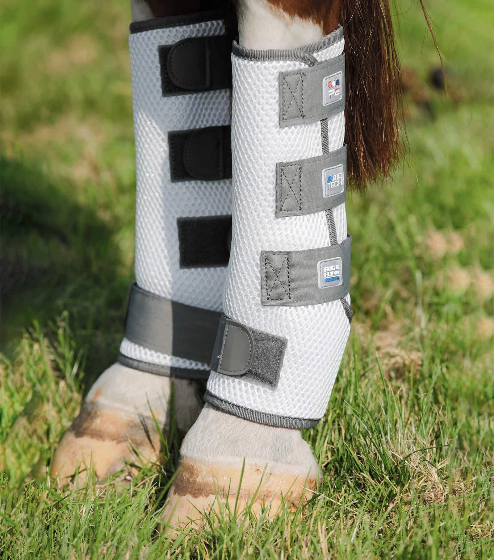 Horse leg with protective white boot on grass