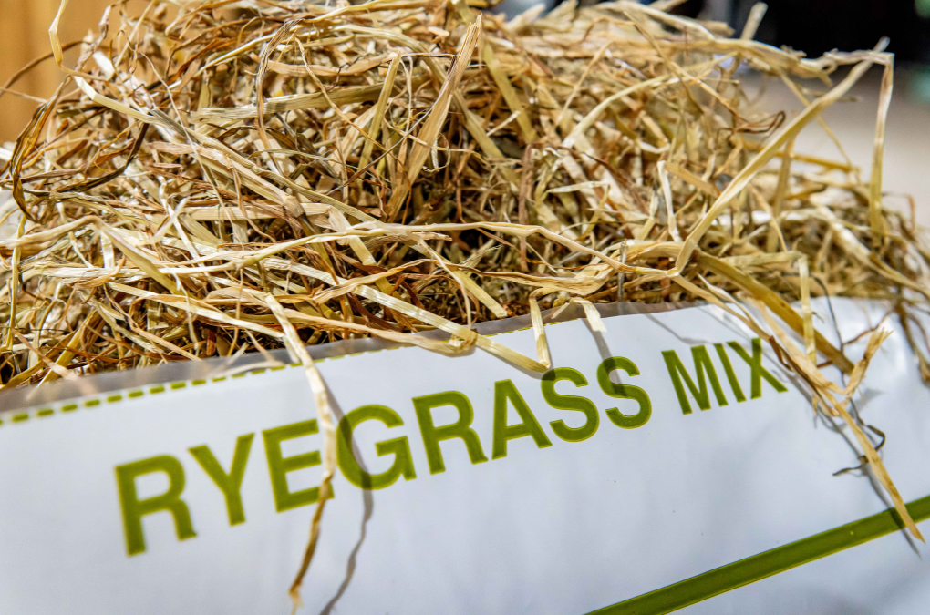 A close-up of loose dried ryegrass straw piled over a white bag or container printed with the words 'RYEGRASS MIX' in olive green.