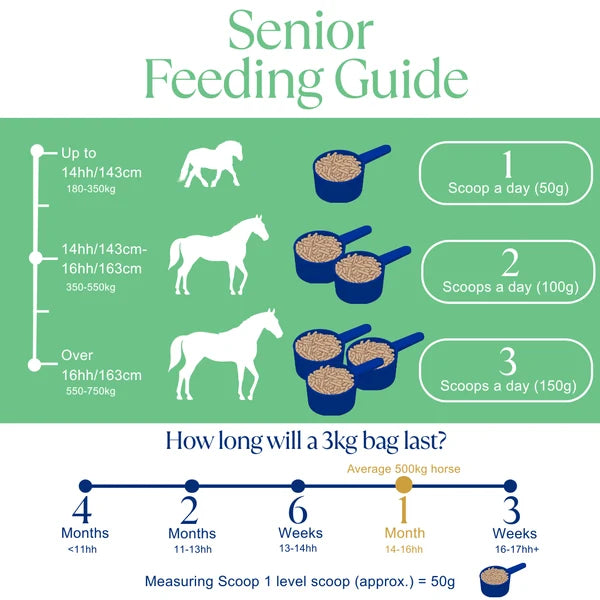 A green and white 'Senior Feeding Guide' infographic for horses, showing weight and size guidelines, scoop quantities from 1 to 3, and a timeline estimating how long a 3kg bag of horse feed lasts depending on the horse's size.