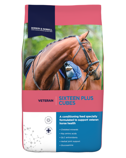 A bag of Dodson & Horrell Veteran Sixteen Plus Cubes horse feed, featuring a brown horse in a saddle on the front packaging