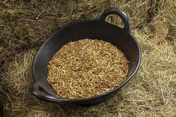 Black feed bucket filled with feed on a bed of straw