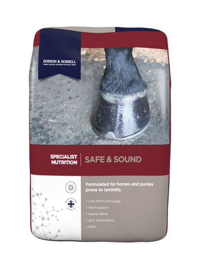Dodson & Horrell Safe & Sound horse feed bag