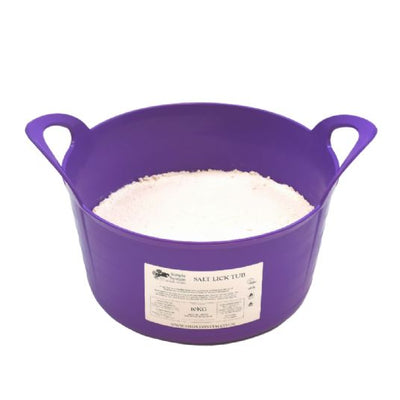 Purple salt lick tub filled with salt on a white background