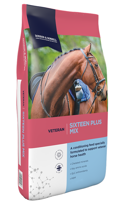A bag of D&H Veteran Sixteen Plus Mix horse feed, featuring a photograph of a brown horse on the front, with pink, white, and blue packaging design.