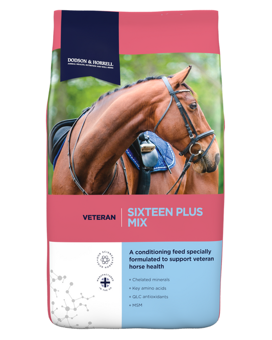 Dodson & Horrell Sixteen Plus Mix packaging