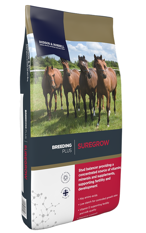 A bag of D&H Suregrow Plus Breeding horse feed, featuring a photo of four horses on a green field on the front packaging.